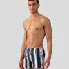 Bespokebasicsco.shopf50eb3b93a 1